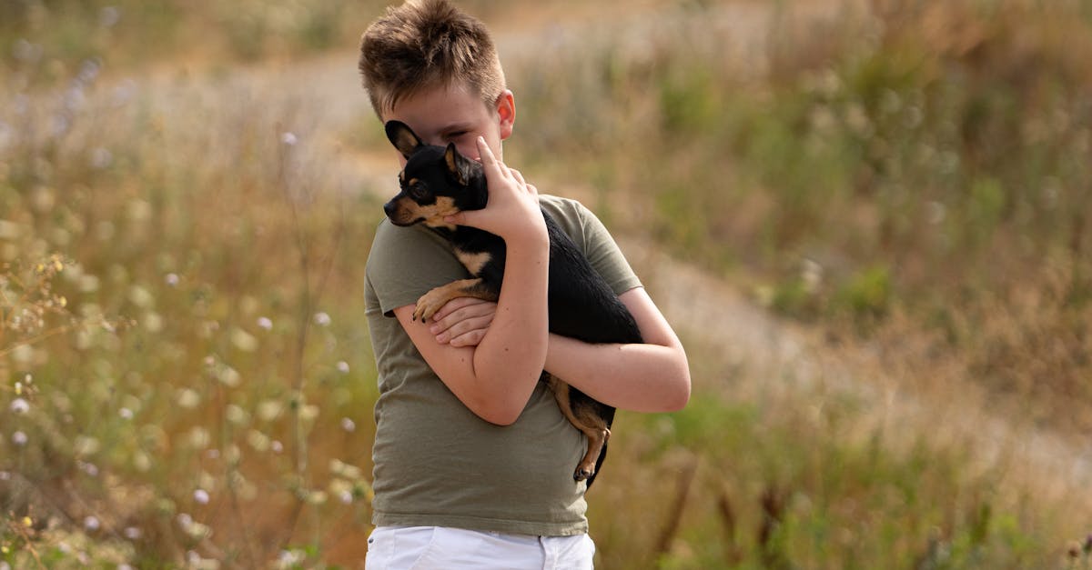 A boy holding a dog in his hand