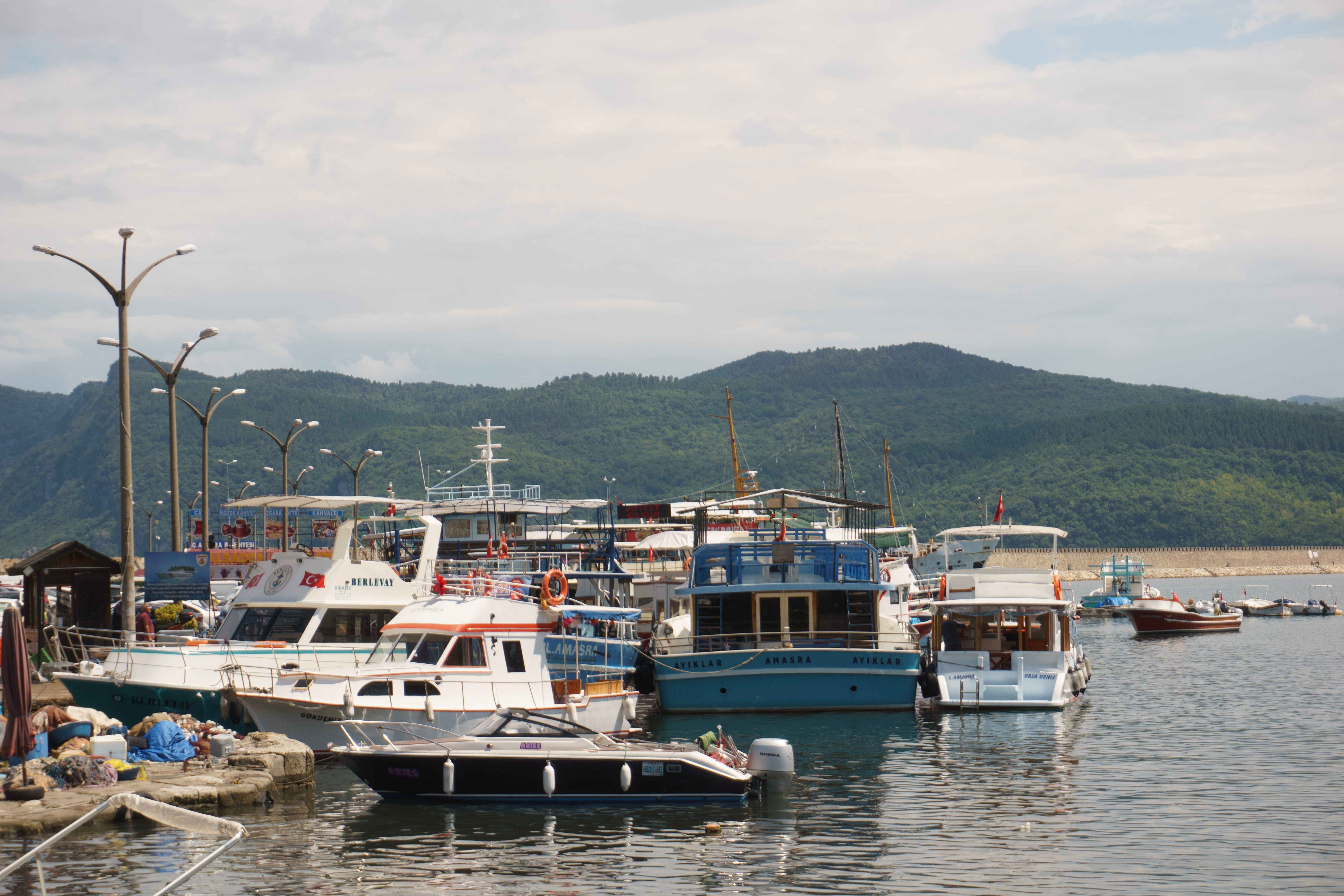 A harbor with many boats docked in it · Free Stock Photo