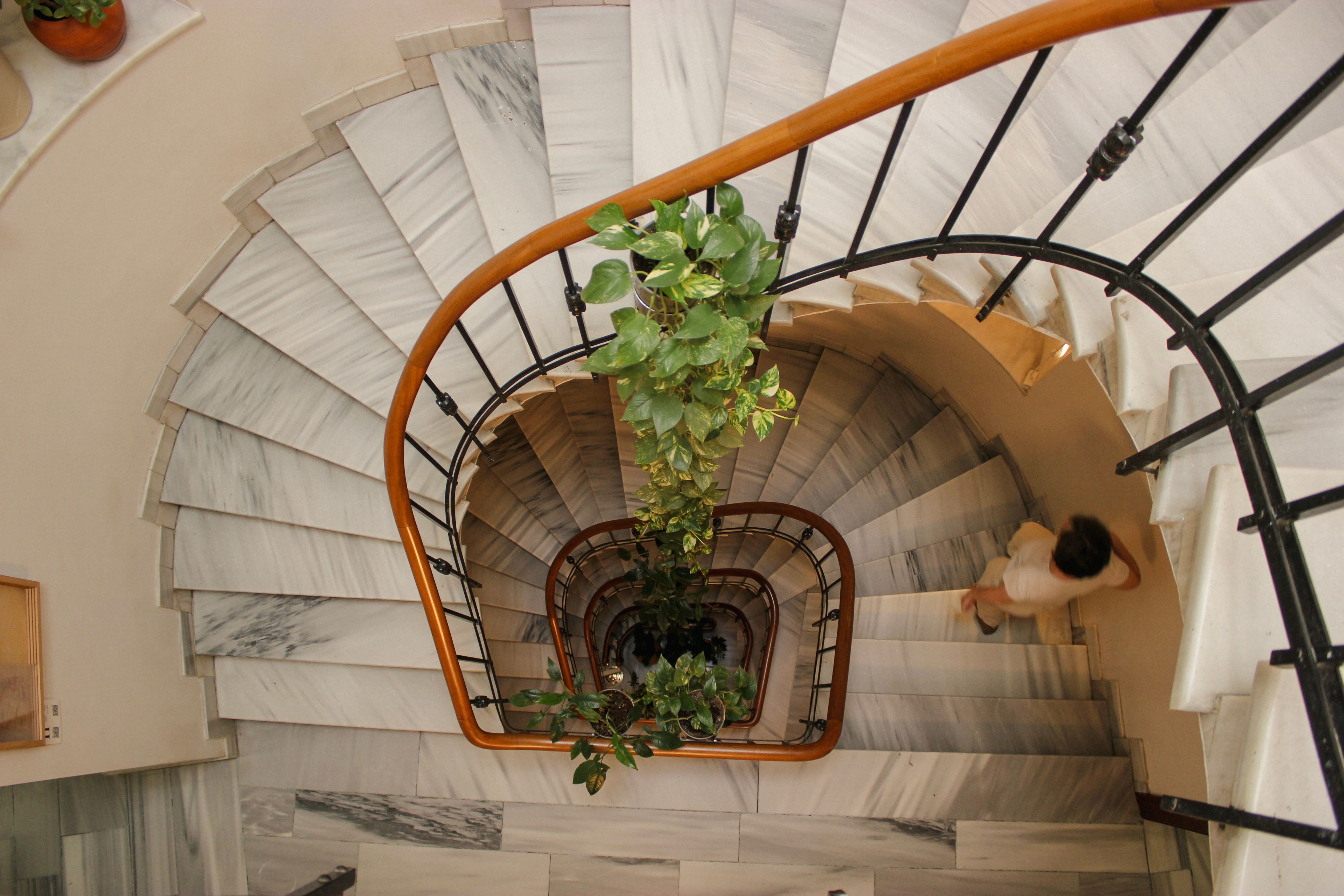 An older woman holding the handrail as she climbs a flight of stairs at home