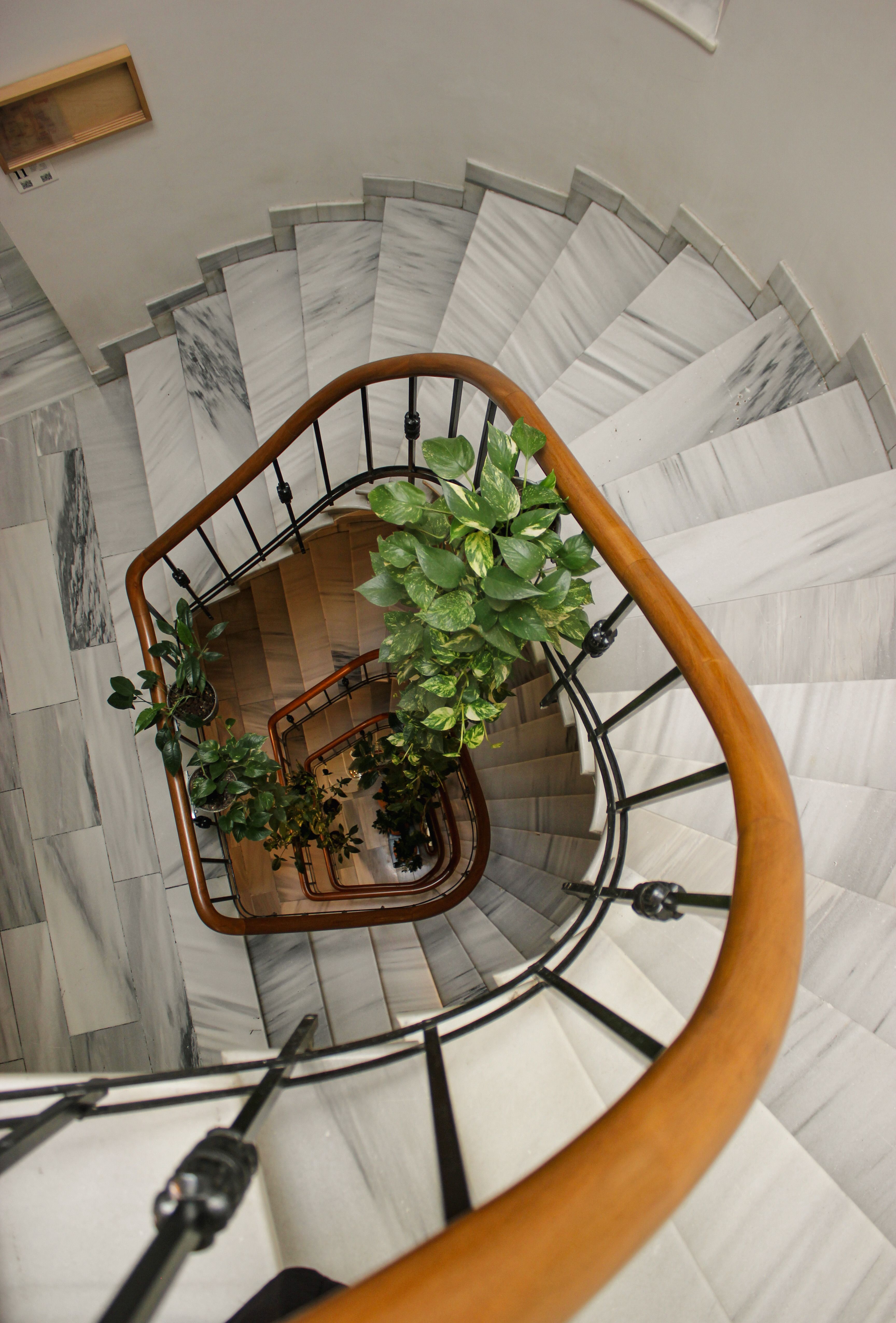 A spiral staircase with a plant on it · Free Stock Photo