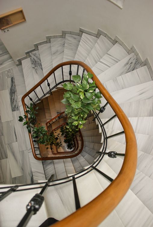 A spiral staircase with a plant on it · Free Stock Photo