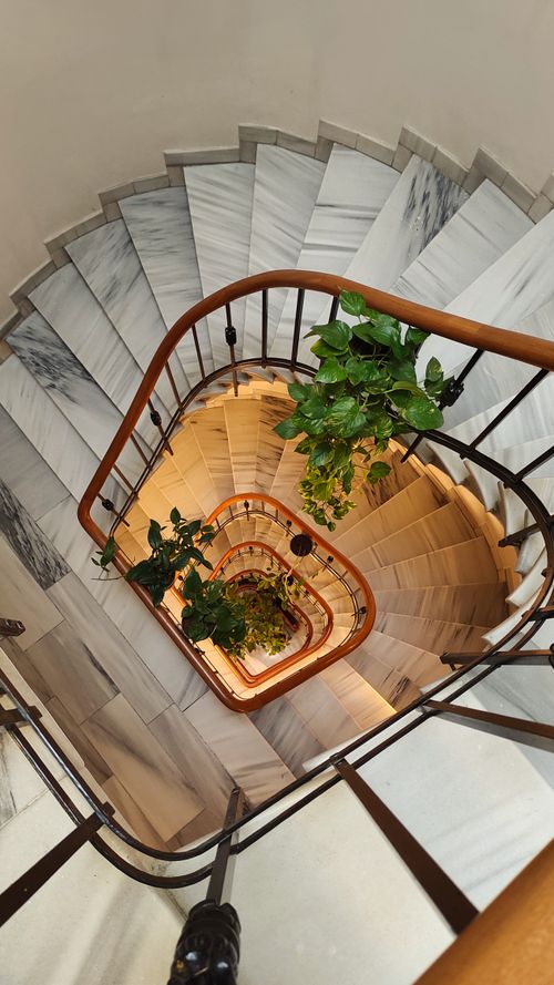 Free Luxurious marble spiral staircase adorned with plants. Stock Photo