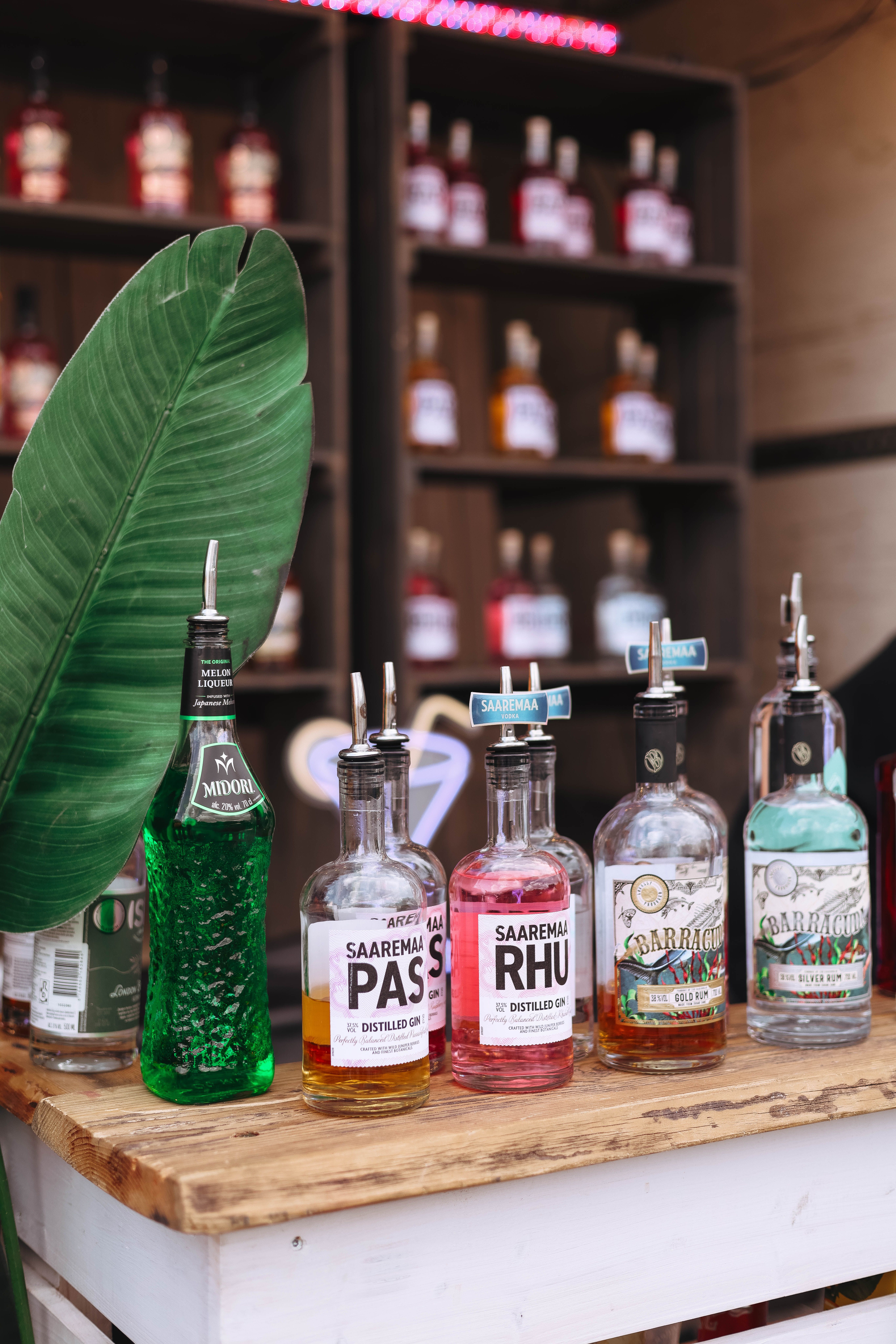 Cata de Rones del Caribe