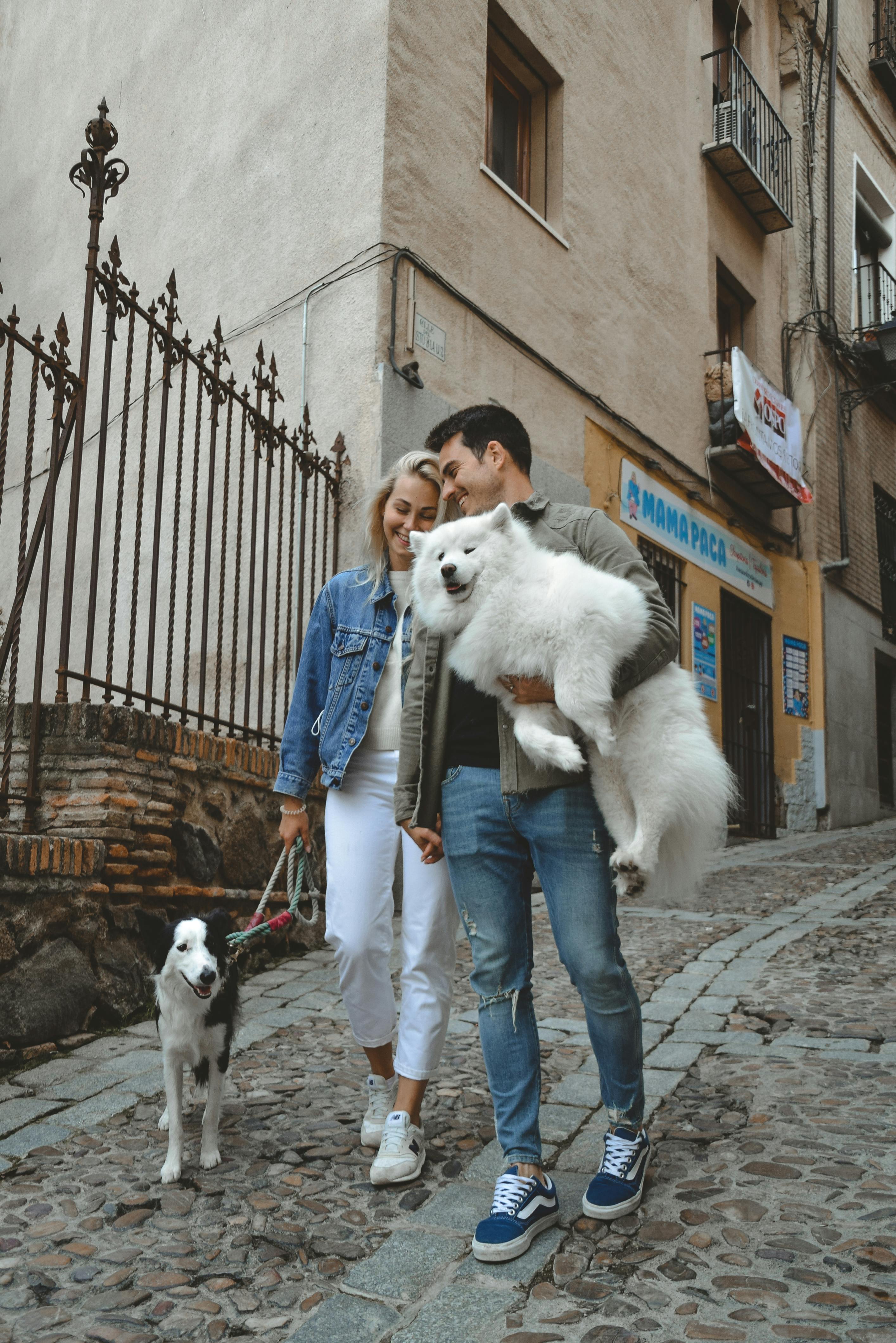 A couple walking their dog on a cobblestone street