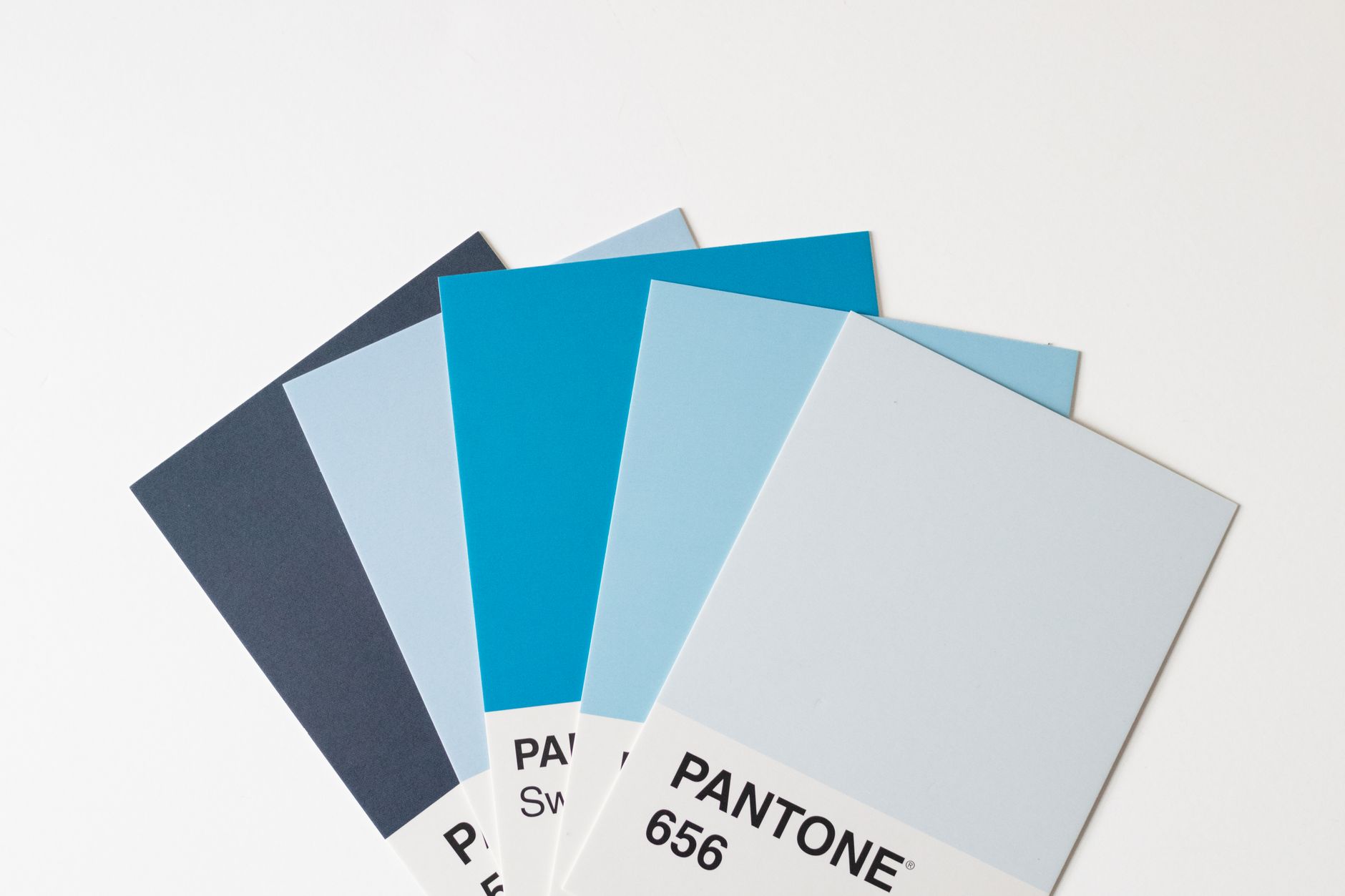 Photography gallery with visible branding logo and colors