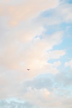 A lone airplane flying amidst pastel-colored evening clouds, symbolizing freedom and travel.