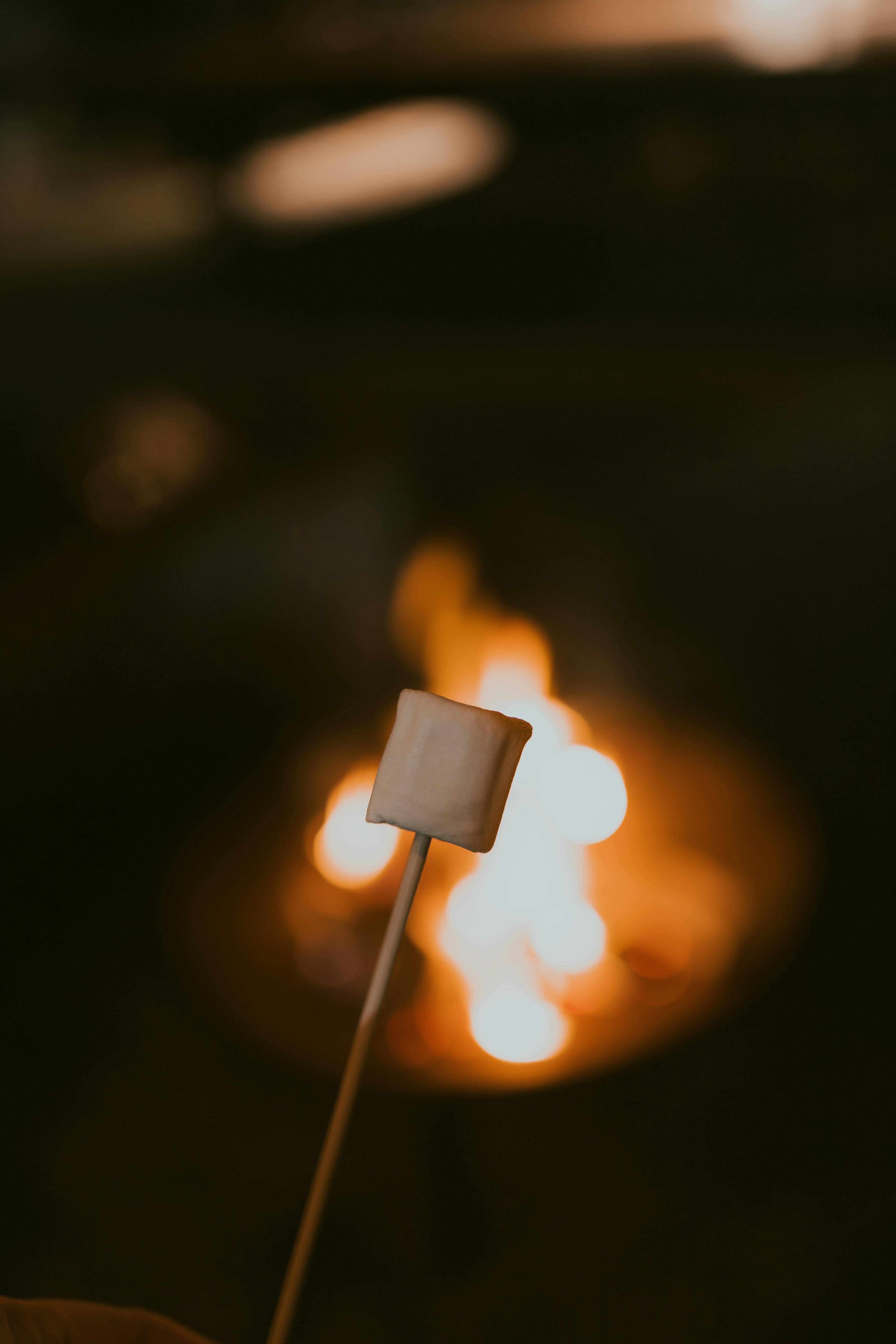 免費 @戶外, smores, 休閒 的 免費圖庫相片 圖庫相片