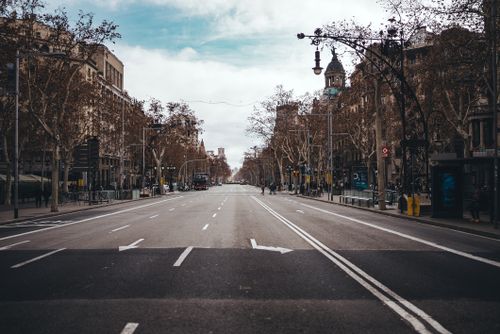 Free An empty urban street in Barcelona lined with bare trees on a cloudy winter day. Stock Photo
