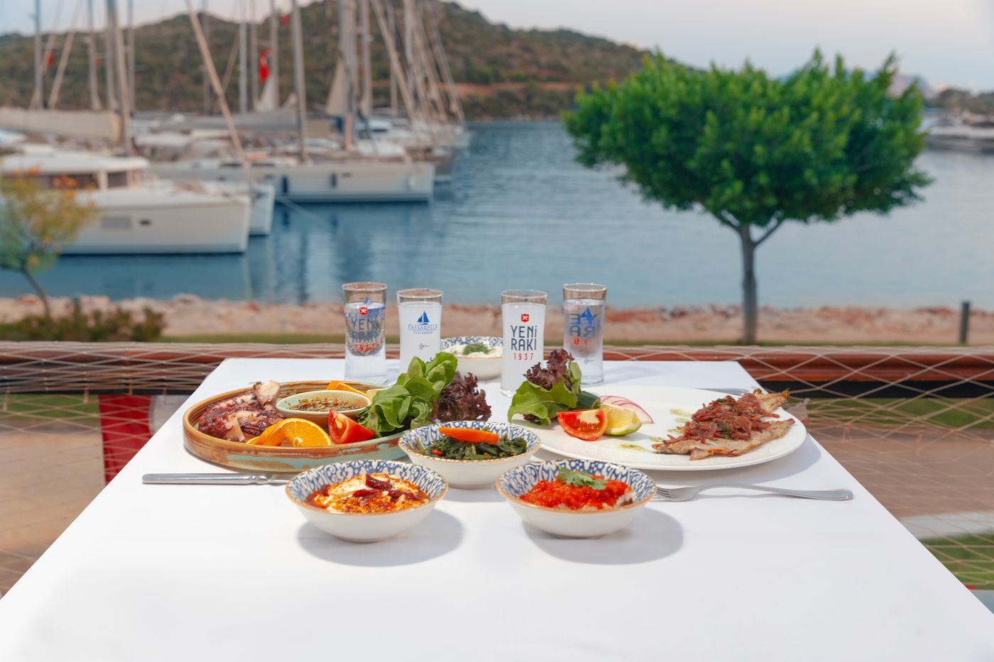 Seafood meal overlooking the sea