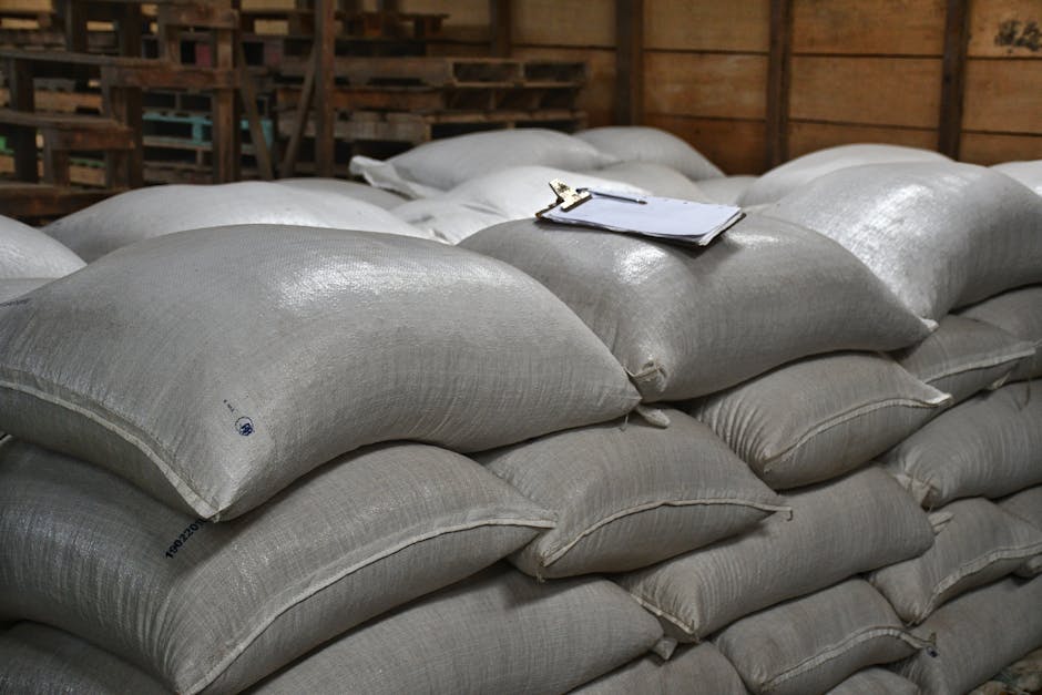 أكياس بسوستة زيبر مقابل أكياس بسوستة ضغط: أيّها أفضل لتغليفك التجاري؟ - الاستنتاج