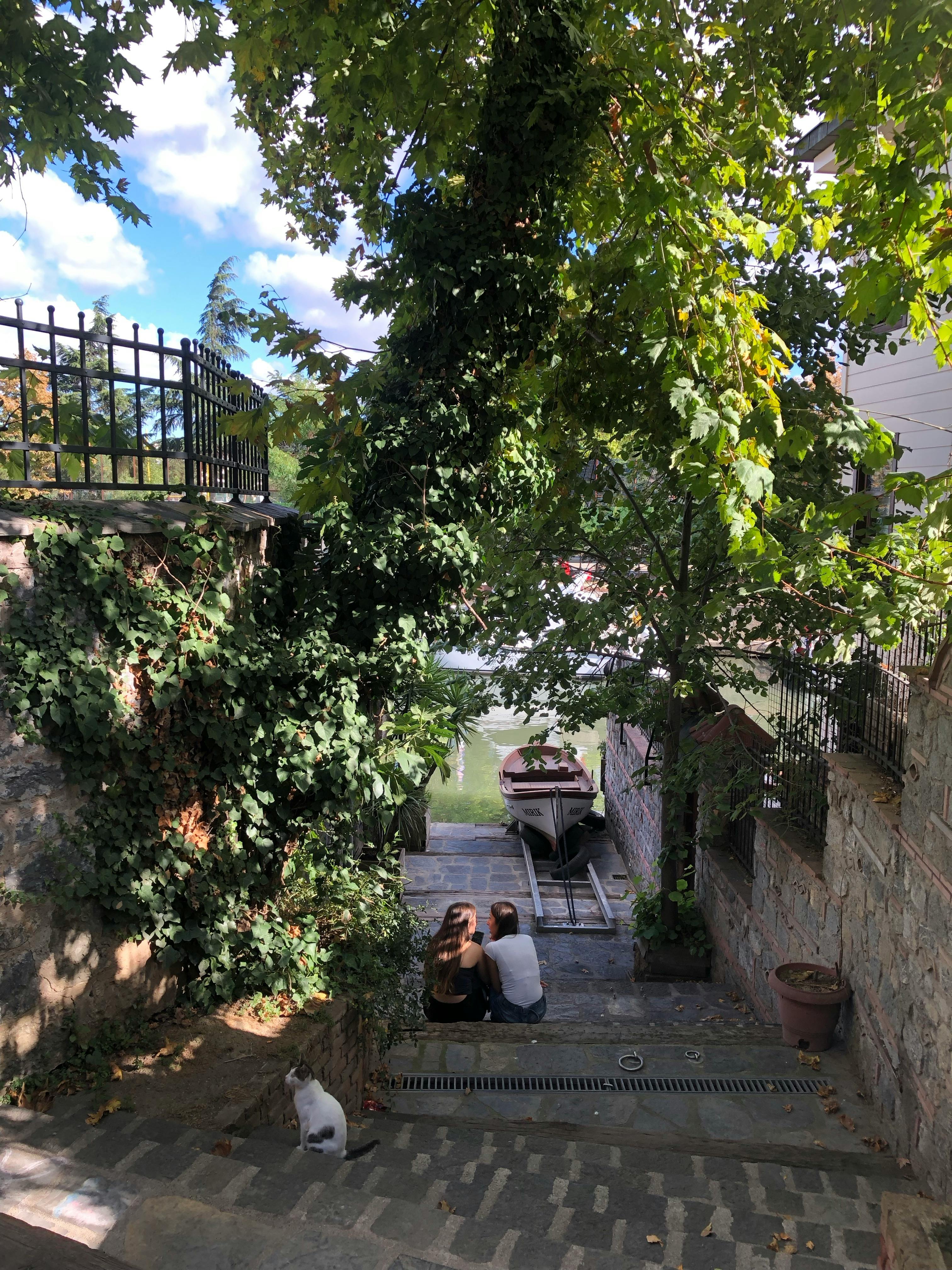 Gratuit Imagine de stoc gratuită din acoperiș cu barca, acoperită cu viță de vie, adiere Fotografie de stoc