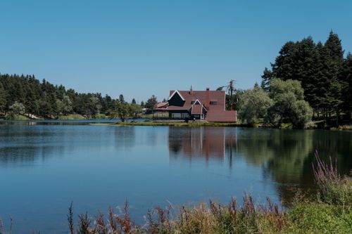 Free Tranquil lakeside house surrounded by trees and calm water reflections. Stock Photo