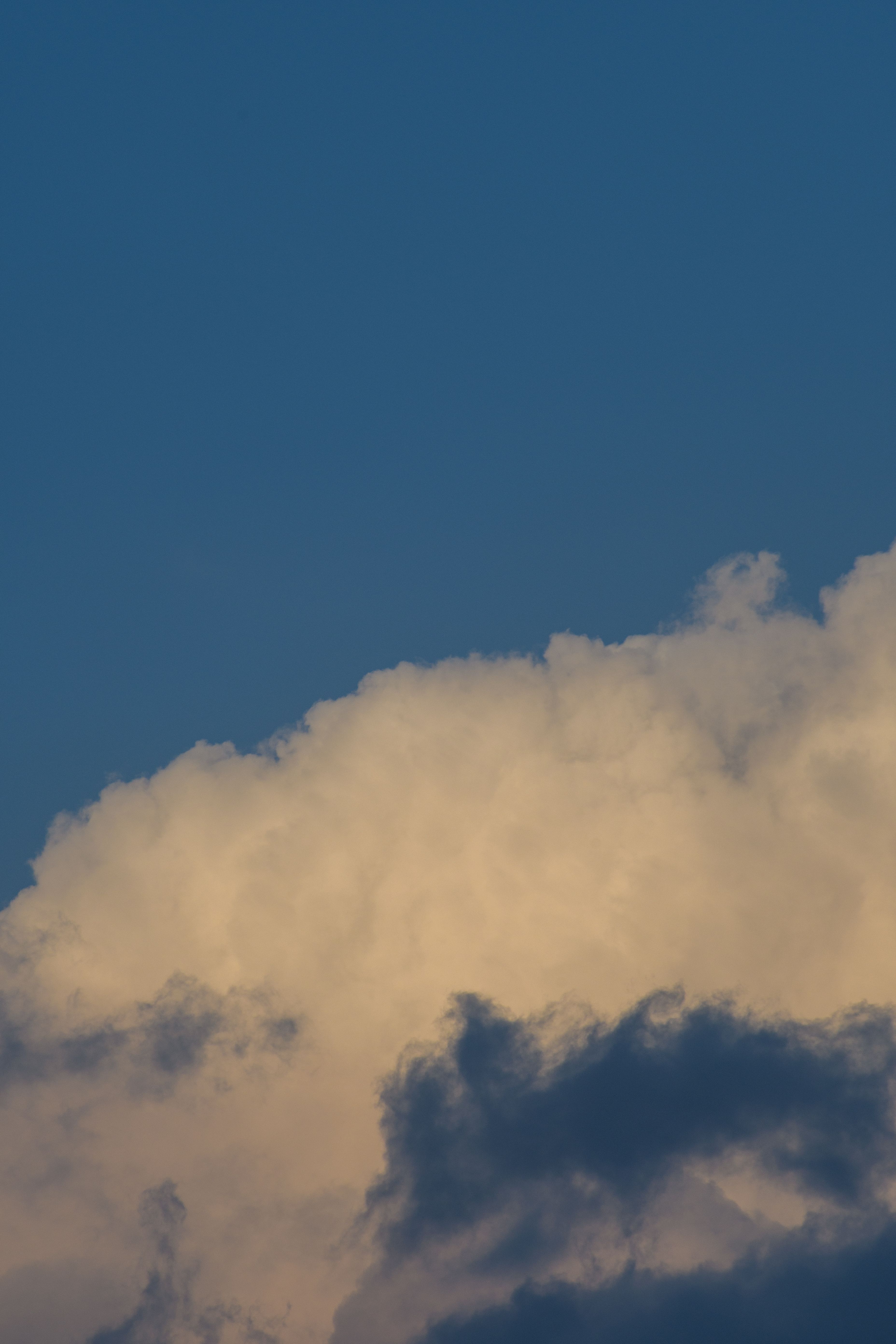 A plane flying through the clouds in a blue sky · Free Stock Photo