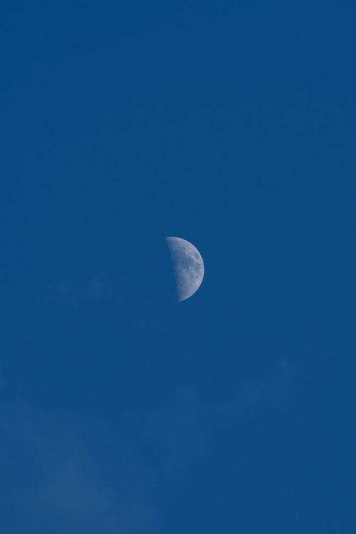 Free A serene view of a half moon against a clear blue sky, depicting the beauty of nature. Stock Photo