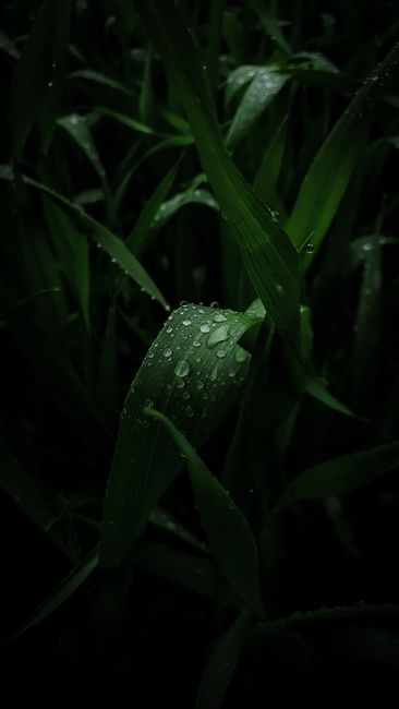 Key Ingredients for Ultimate Moisture Retention