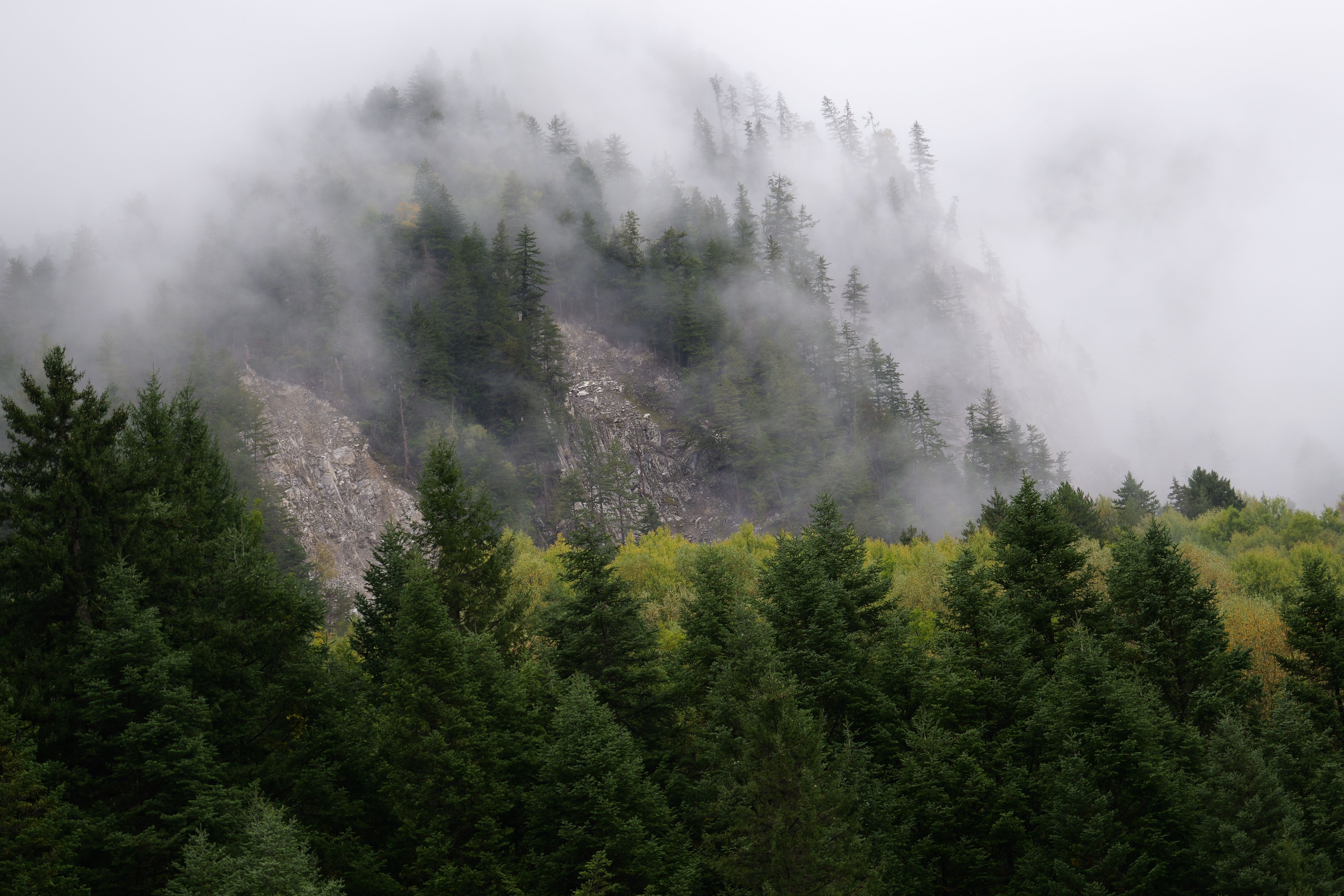 A mountain covered in trees and fog · Free Stock Photo