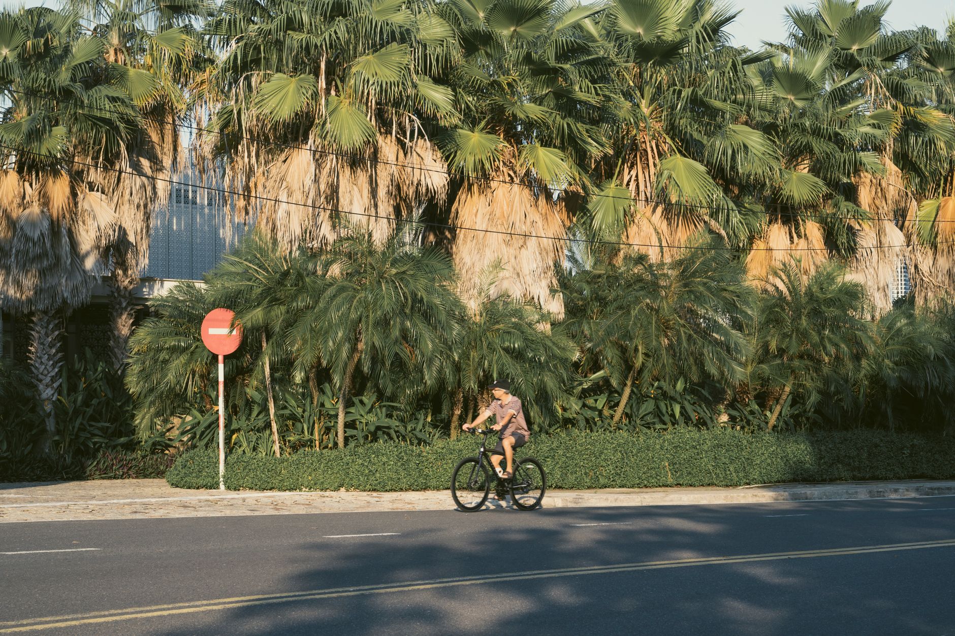Prima bici da strada: che budget prevedere nel 2026?