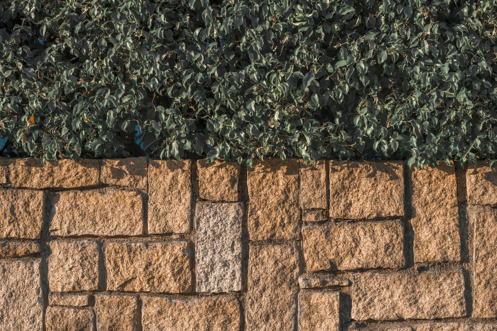 Close-up of textured stone retaining wall with lush greenery, showcasing sustainable urban eco-design in Brantford. Close-up of textured stone retaining wall with lush greenery, showcasing sustainable urban eco-design in Brantford.