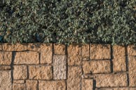 A stone wall with bushes growing on it