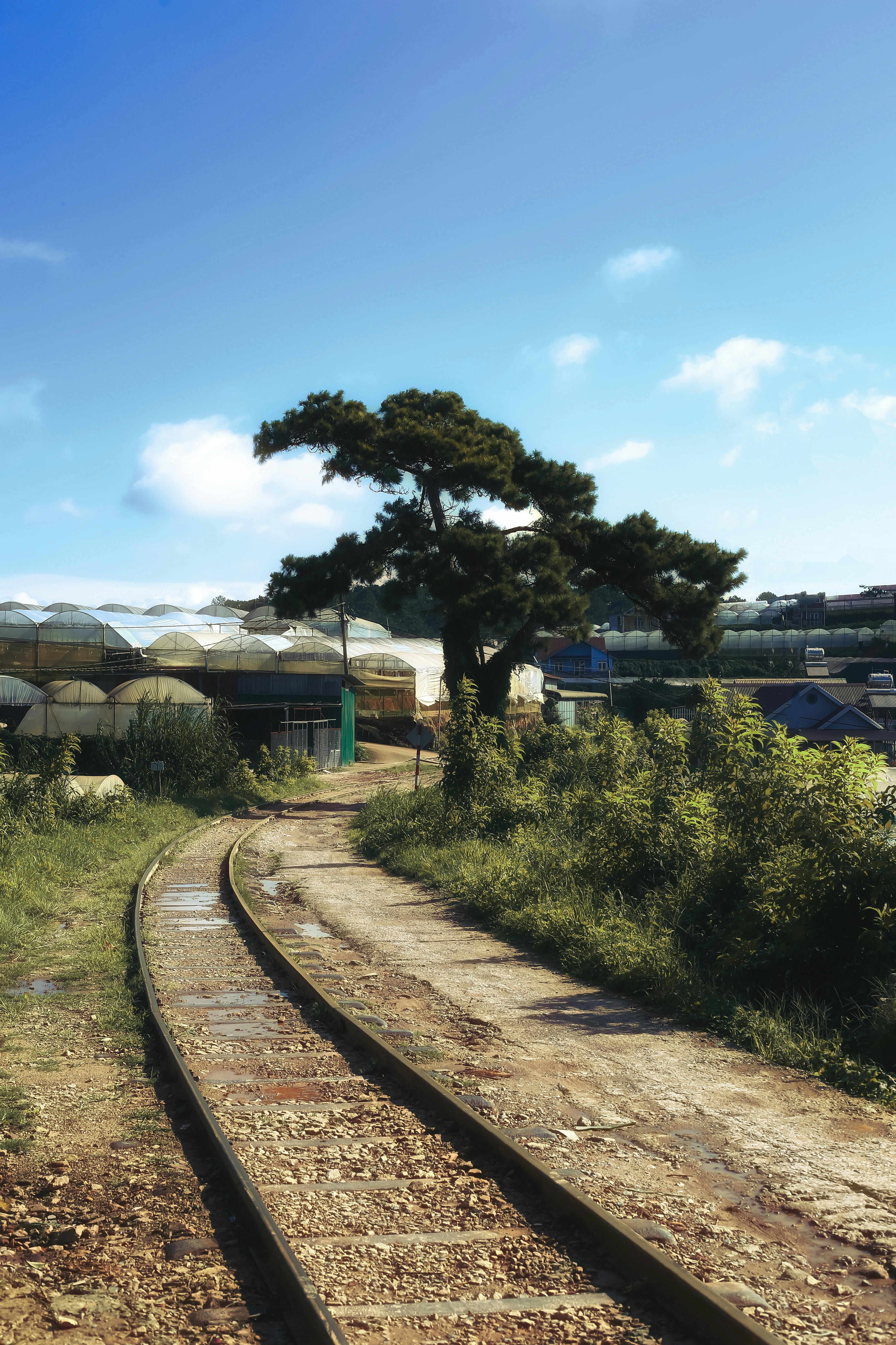 Miễn phí Ảnh lưu trữ miễn phí về bản chất hoang sơ, bền vững, bình dị Ảnh lưu trữ