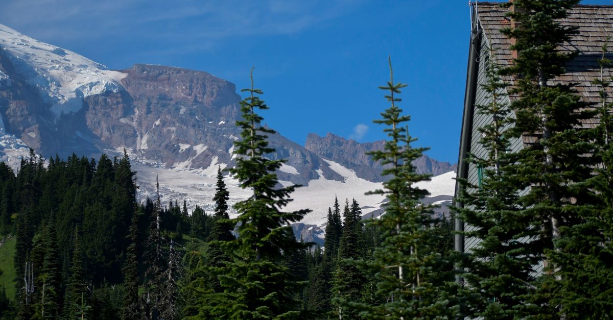 Captivating view of a snow-capped mountain beyond a dense evergreen forest, ideal for nature enthusiasts.