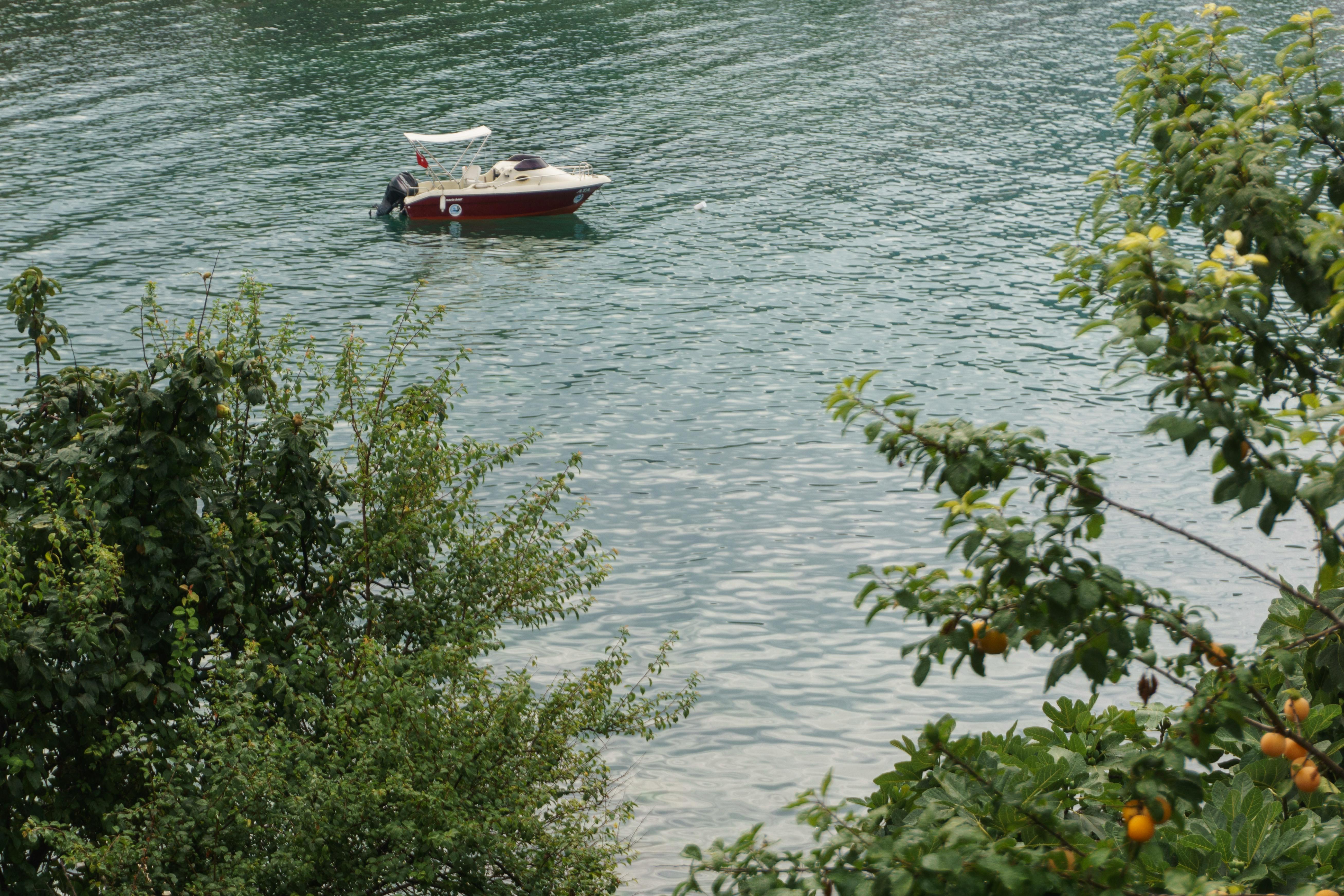 a boat is in the water near some trees