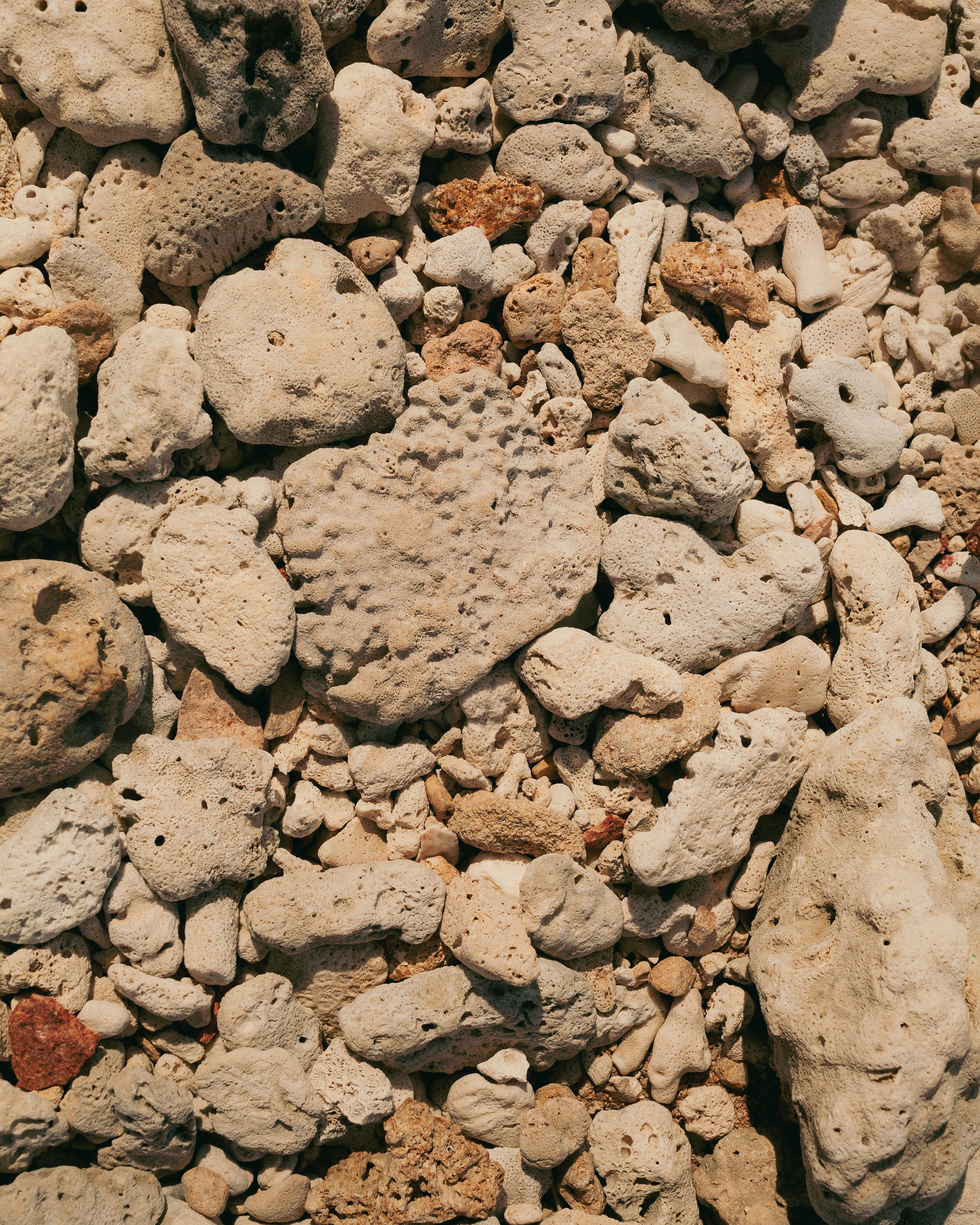 a close up of rocks and pebbles