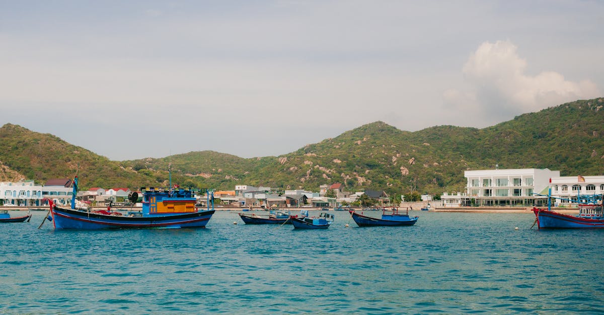 Colorful fishing boats anchored in Vinh Hy Bay, Ninh Thuận, Vietnam on a sunny day.