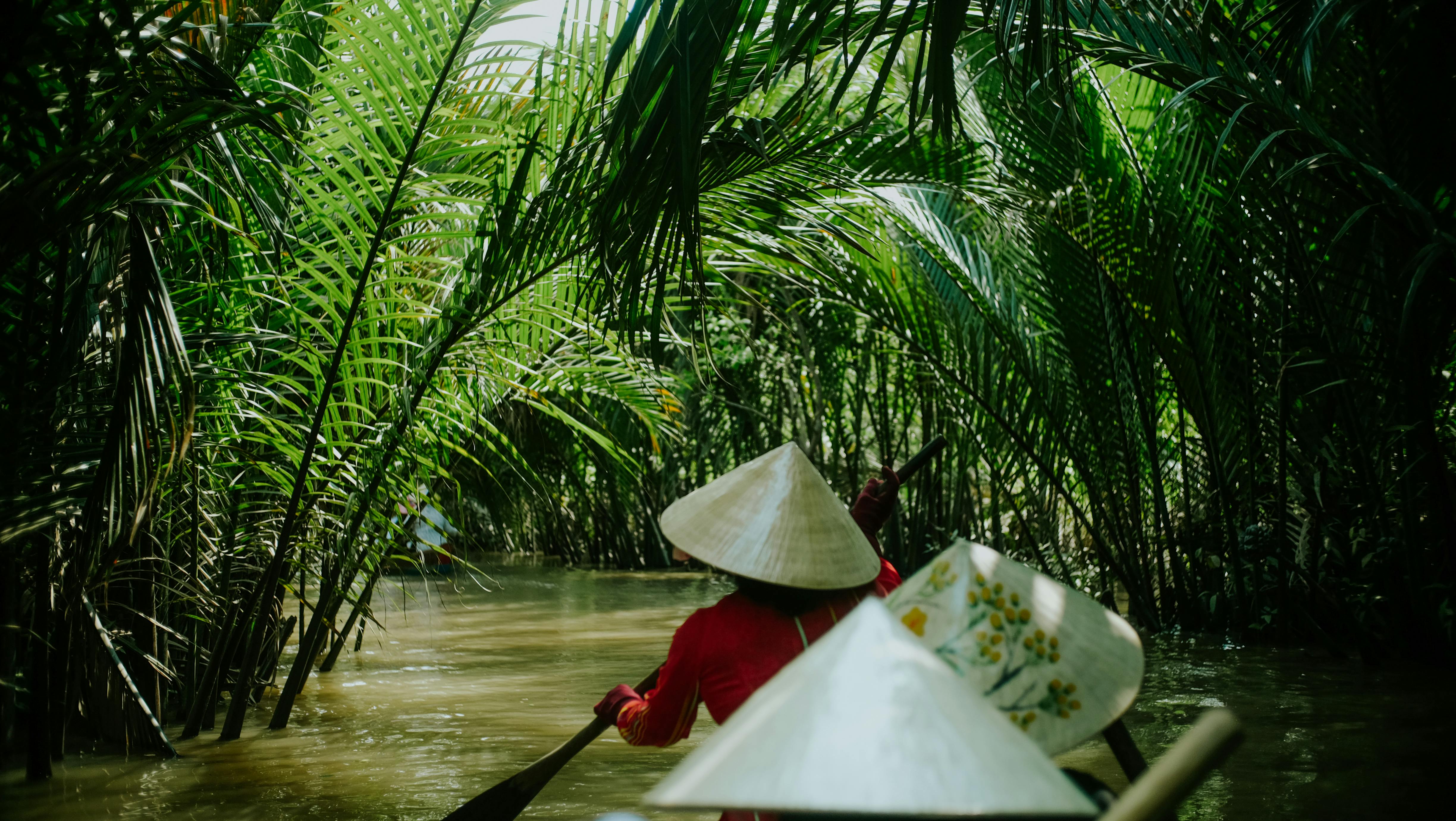 Gratuit Imagine de stoc gratuită din apă, apă curgătoare, arbore Fotografie de stoc
