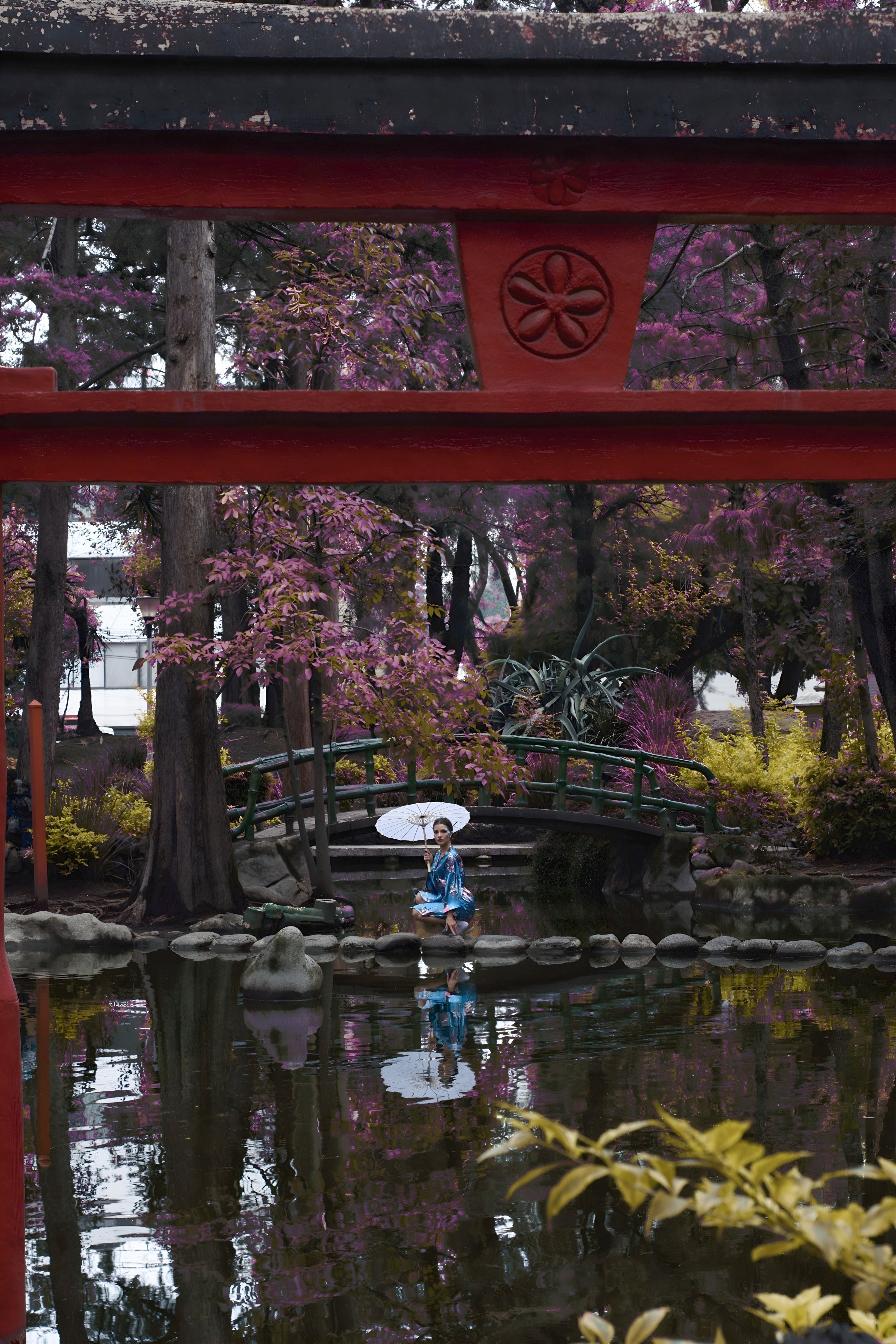 A tranquil scene featuring a Torii gate and serene garden setting in Mexico City, a model in traditional attire.