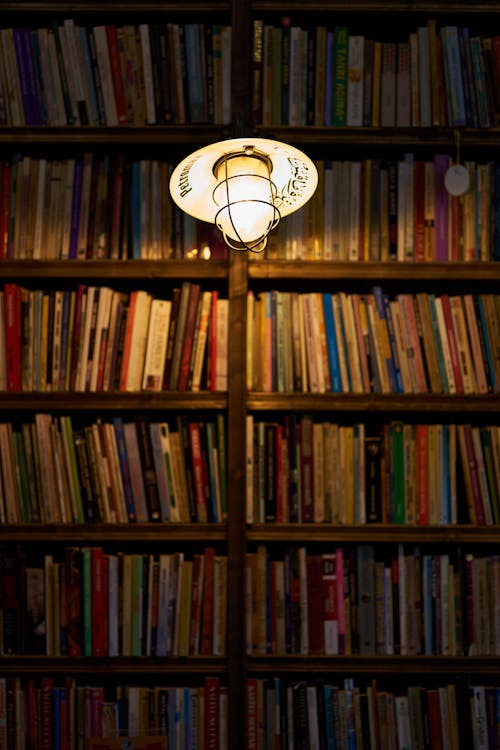 Free Light Bulb Beside Books on Shelf Stock Photo