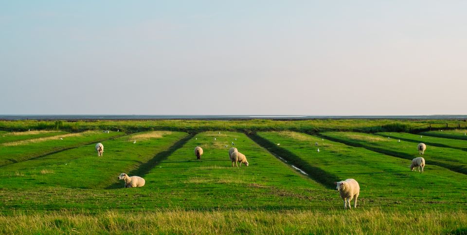 Nordfriesland