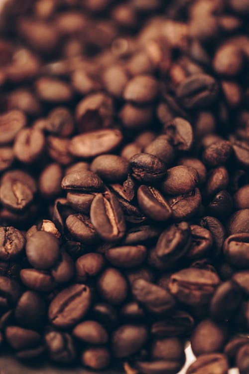 Free stock photo of roasted coffee beans