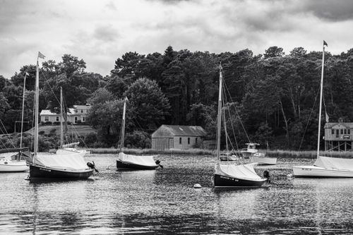 Free Peaceful marina scene with sailboats and lush greenery. Ideal for travel or leisure themes. Stock Photo