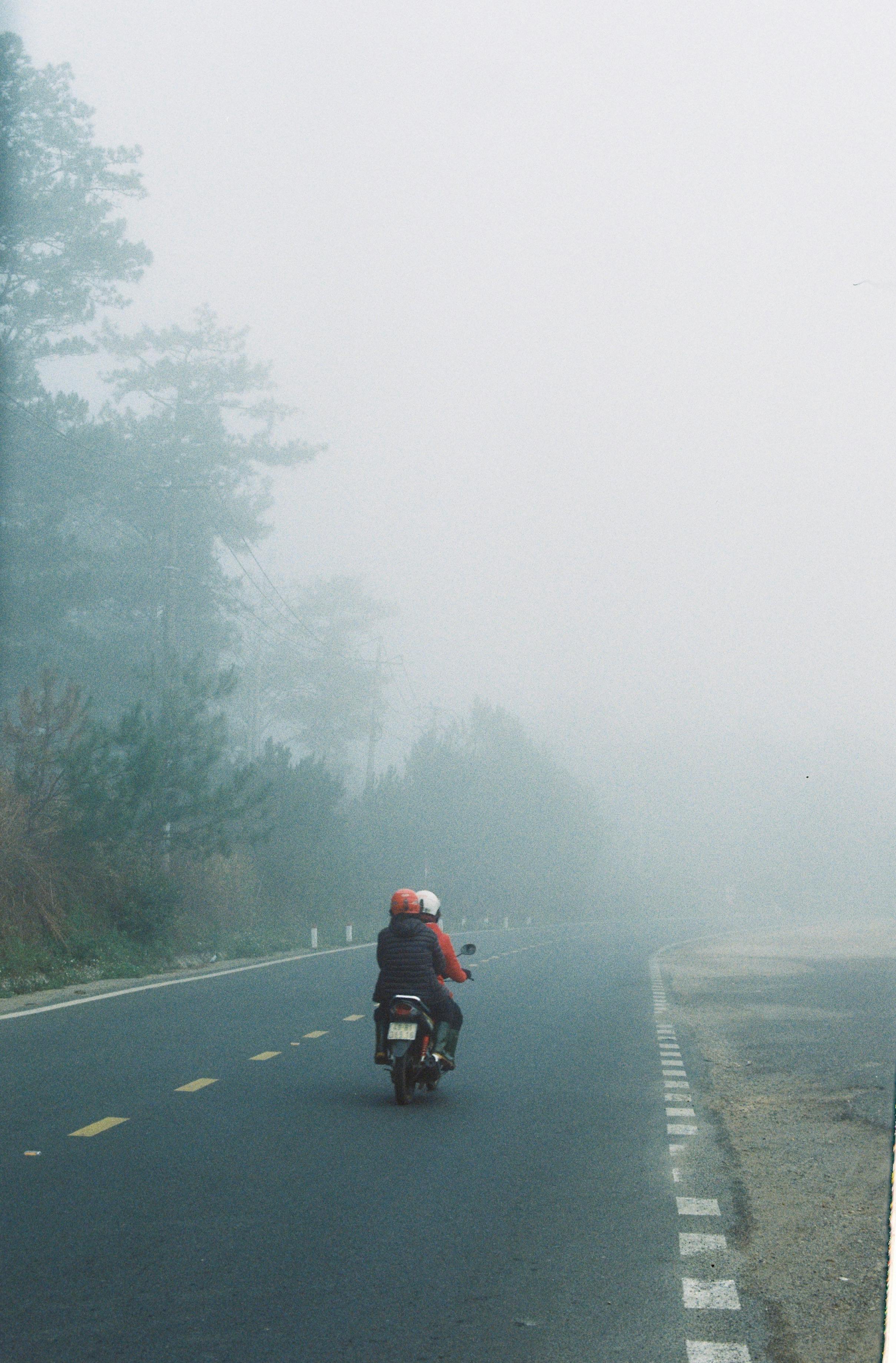 Motorcyclist on a foggy road surrounded by winter trees, capturing a serene travel moment.