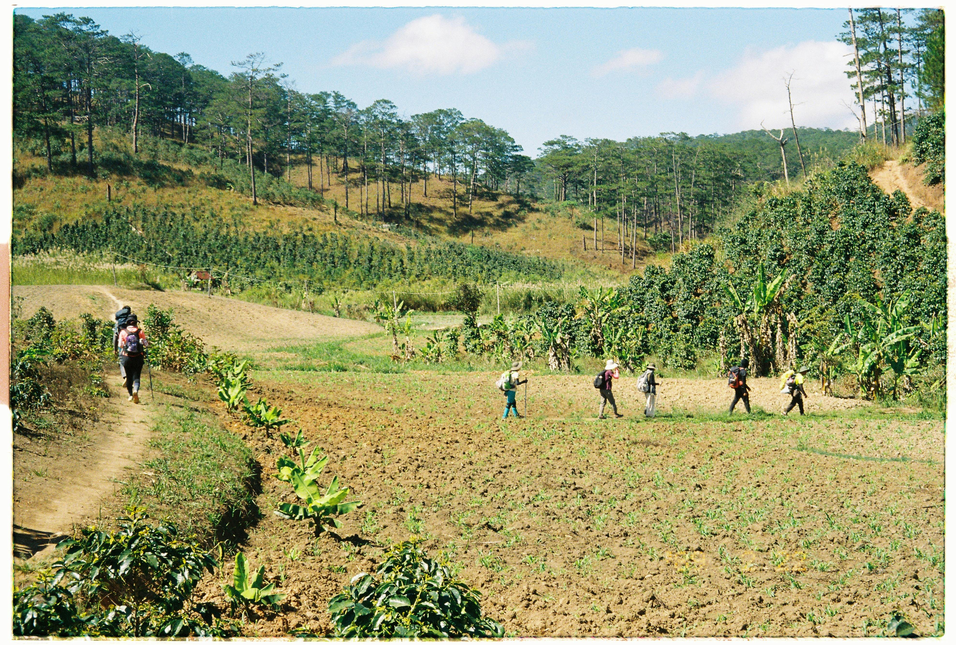 A scenic view of hikers trekking through lush farmland surrounded by trees and hills.