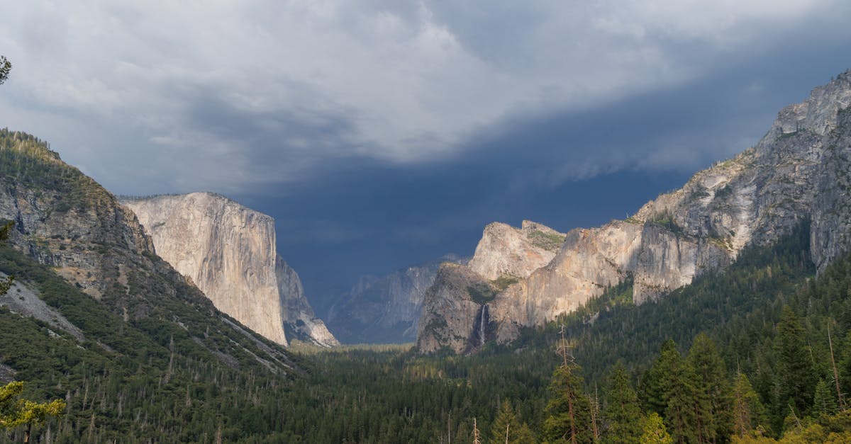 The Black Serpent's Legacy 1 image text