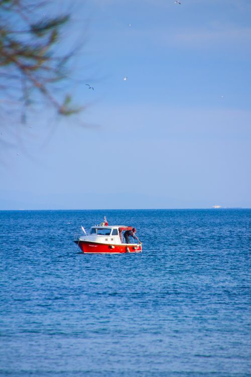 Free stock photo of blue, clear blue sky, human Stock Photo