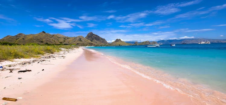 Explore the stunning pink sand and turquoise waters at Padar Island in Komodo National Park, Indonesia.