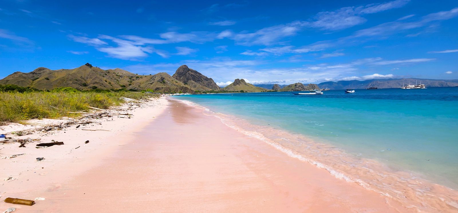 Pink Beach In Komodo Island Free Stock Photo Pink Beach In Komodo Island Free Stock Photo
