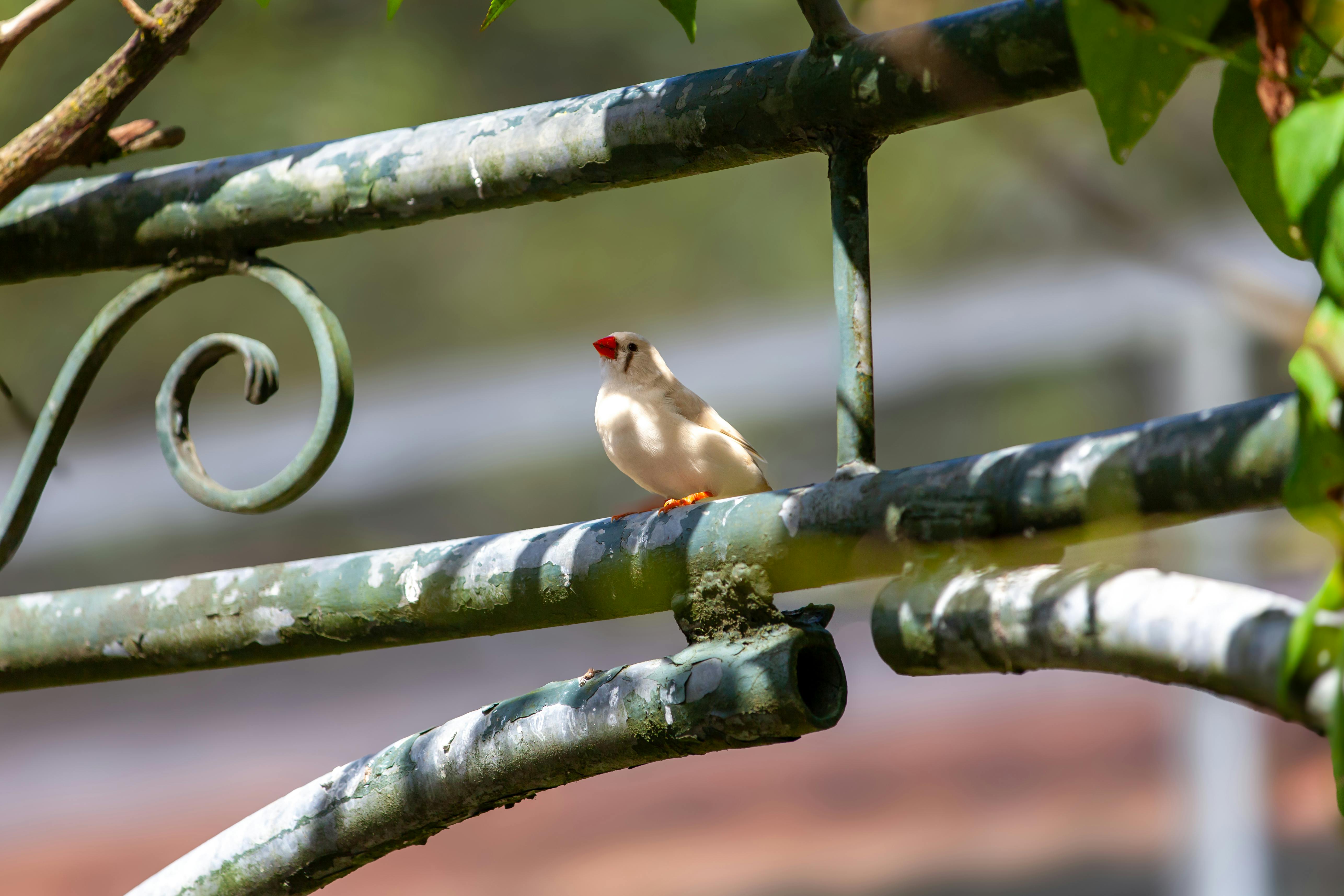 Gartenplanung und Community Austausch