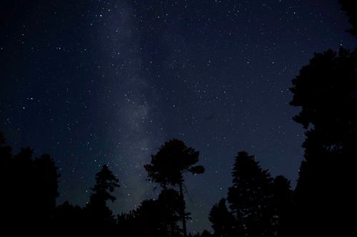 Free Captivating view of a starry night sky over a tranquil pine forest in Bursa, Türkiye. Stock Photo