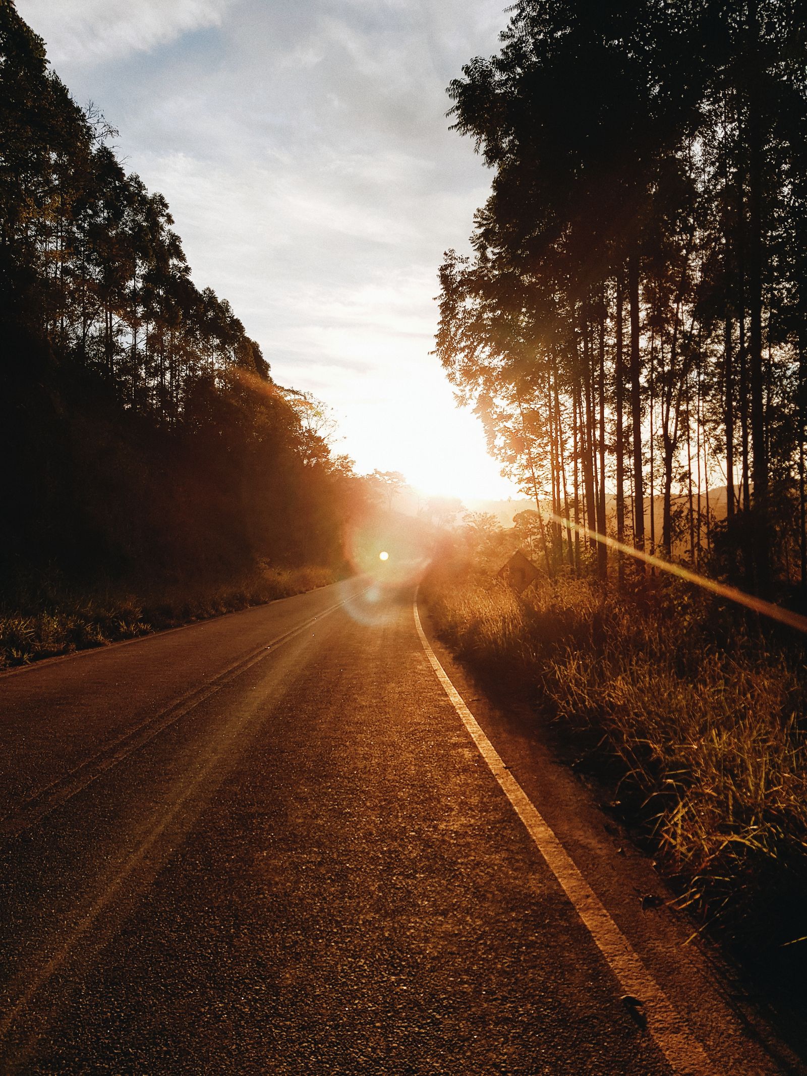 Carretera al amanecer con luz dorada