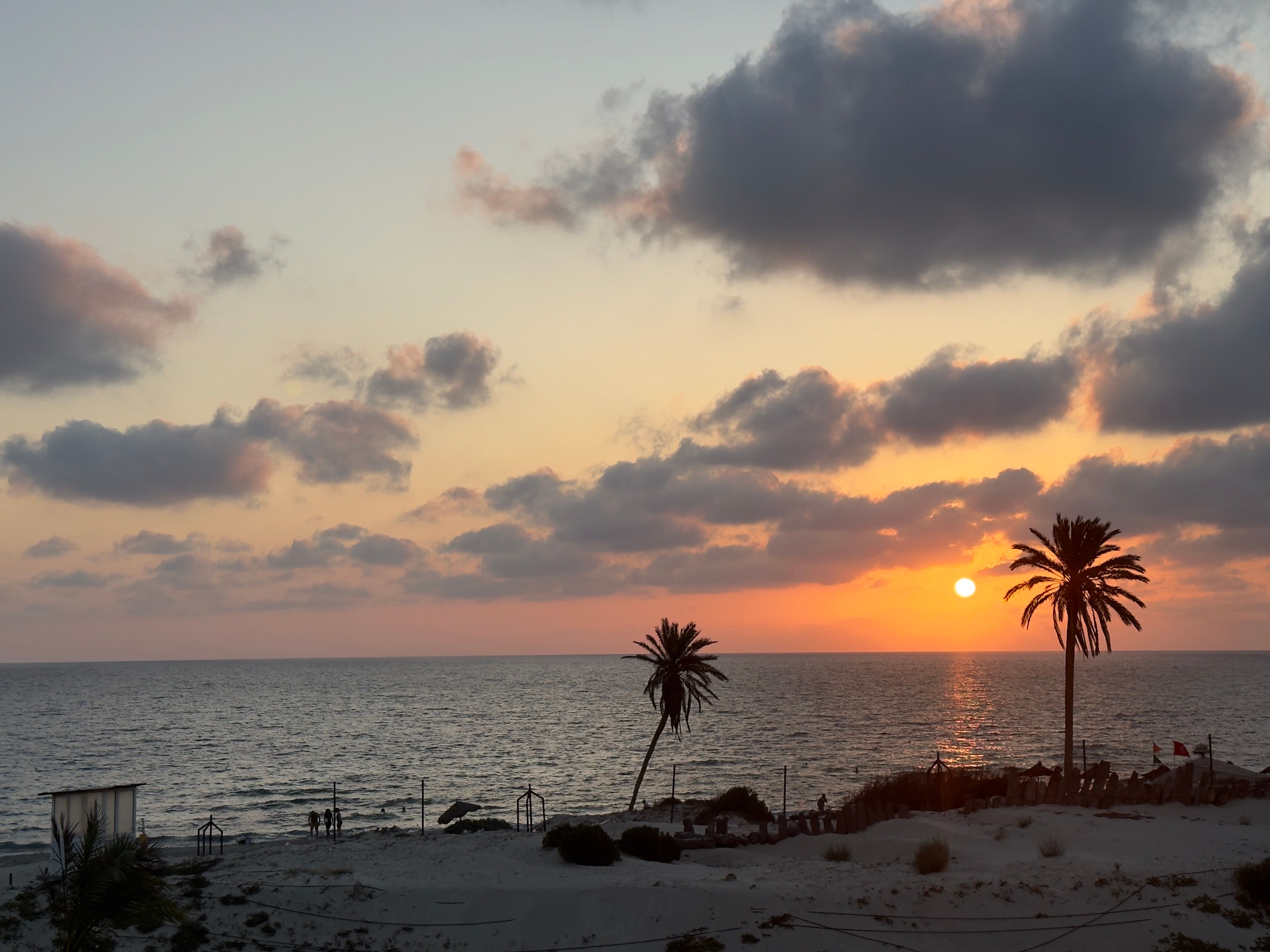 A sunset over the ocean with palm trees · Free Stock Photo