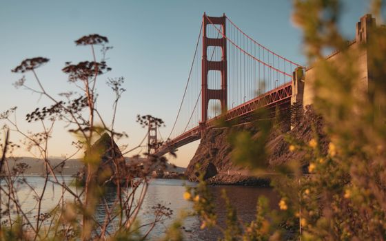 Napa Valley wine day — San Francisco