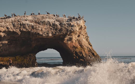 Cruz Bay, U S Virgin Islands photo 8