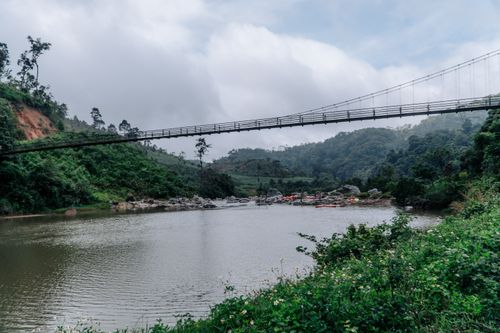 Free Măng Đen - Việt Nam Stock Photo