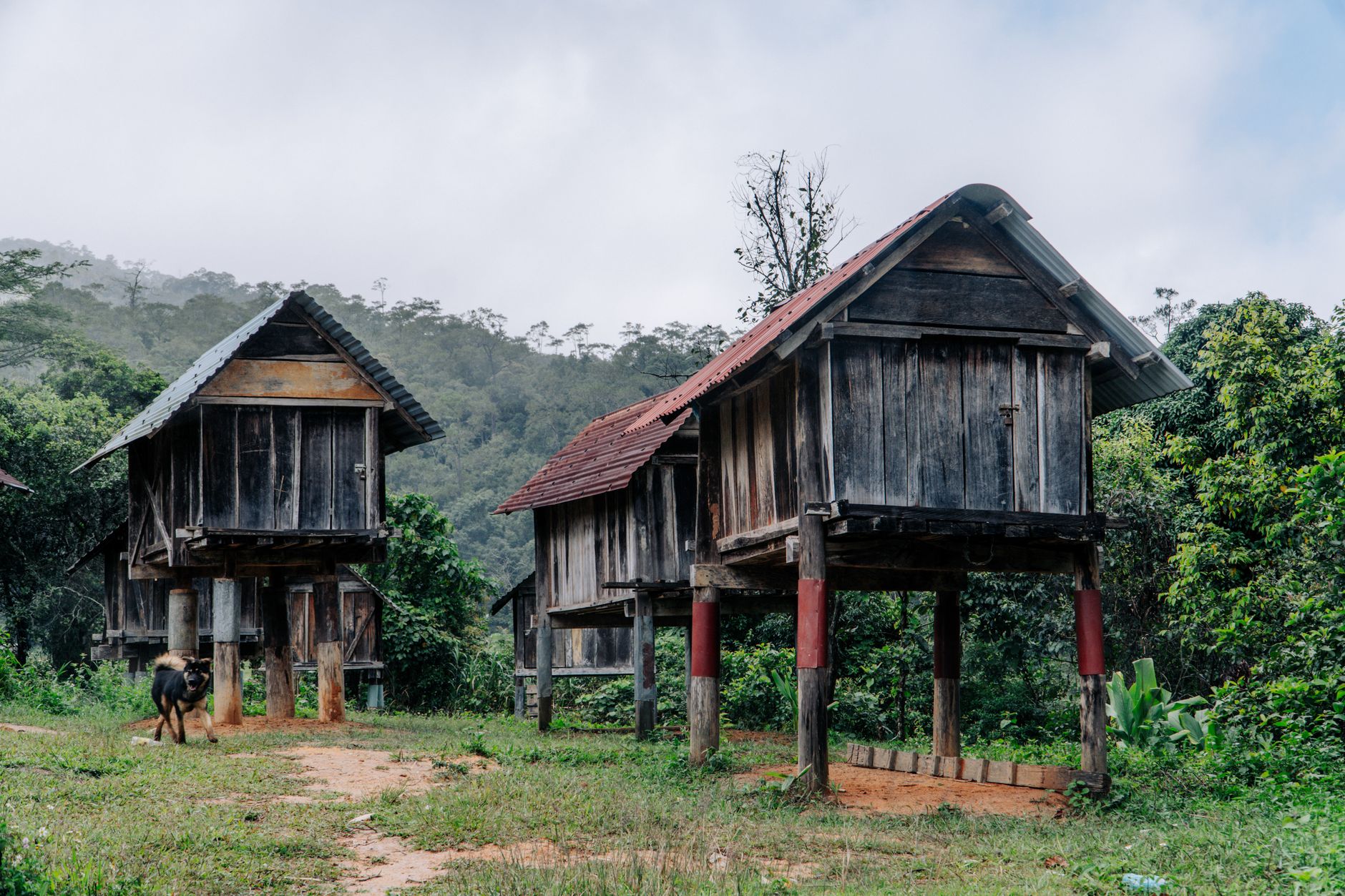 Charming rural scene with elevated wooden houses and lush greenery, showcasing traditional architecture.