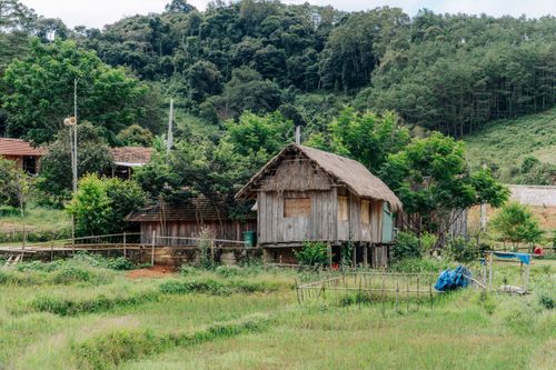 Free A cozy wooden house with a thatched roof nestled in the lush, green countryside. Stock Photo