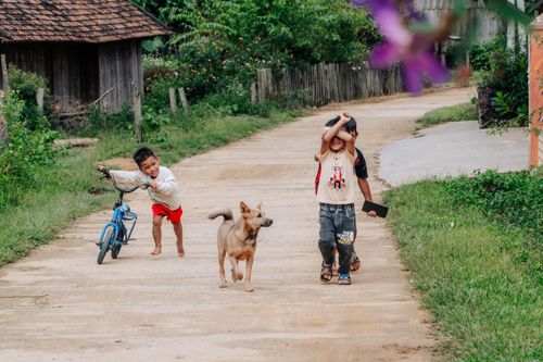 Free Joyful children riding a bike and playing with a dog on a rural village road. Stock Photo
